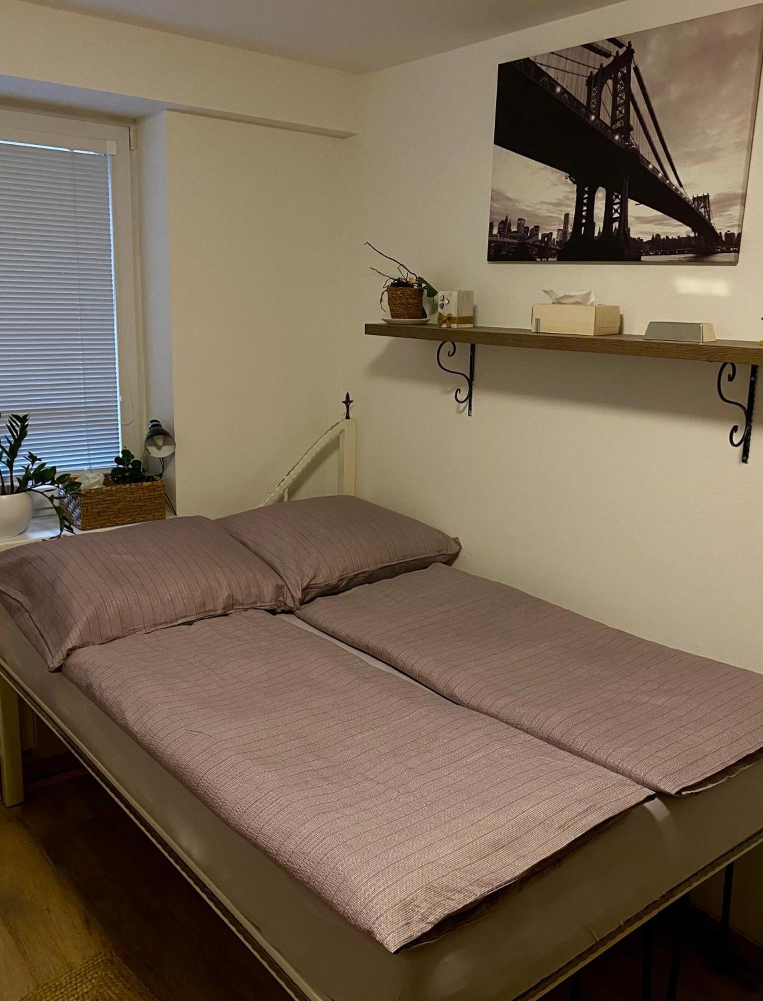 Apartman Slnecna Terasa S Vlastnym Parkovanim Na 2 Auta Daire Žilina Dış mekan fotoğraf